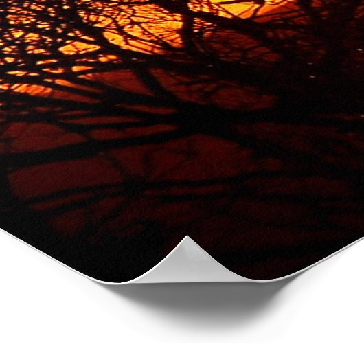 Oranje Squash Sunset Poster (Hoek)