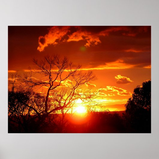 Oranje Squash Sunset Poster (Voorkant)