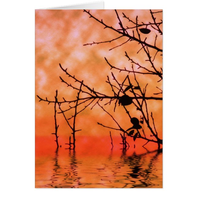 Oranje Squasun-Kaart (Voorkant)