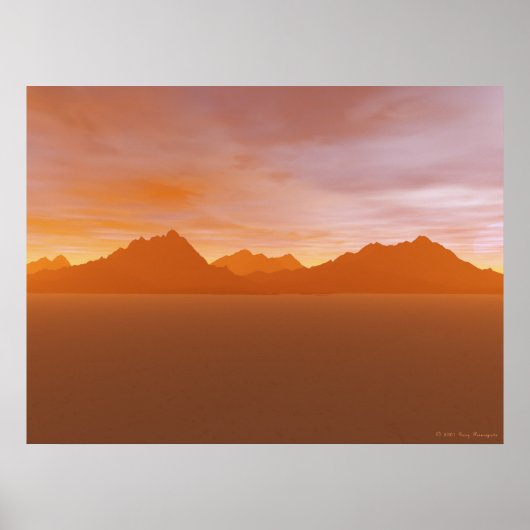 Oranje staar poster (Voorkant)