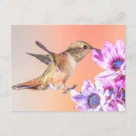 Oranje stekelkogels en paarse bloemen briefkaart