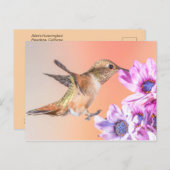 Oranje stekelkogels en paarse bloemen briefkaart (Voorkant / Achterkant)
