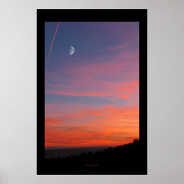 oranje stemming poster