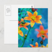 Oranje sterventilator briefkaart (Voorkant / Achterkant)