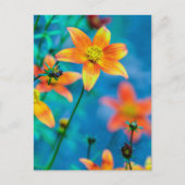 Oranje sterventilator briefkaart (Voorkant)