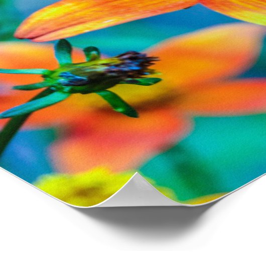 Oranje sterventilator poster (Hoek)