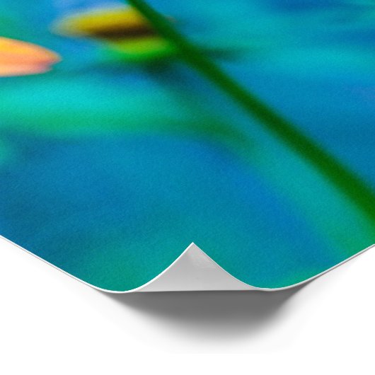 Oranje sterventilator poster (Hoek)