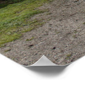 Oranje Steyr Tractor KL II Poster (Hoek)