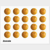 Oranje Stickers 01 (Vel)