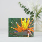 Oranje Strelitzia Flower DIY Briefkaart (Staand voorkant)