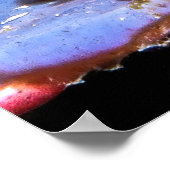 Oranje Striped Blenny Poster (Hoek)