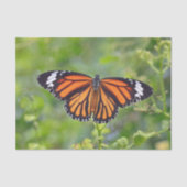  Oranje Striped Butterfly foto Tissuepapier (Voorkant)