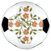 ORANJE STROMEN VOETBAL (Gedraaid)