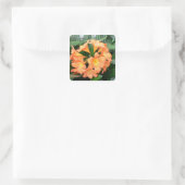 Oranje Struik Lily Flower of Natal Lily Vierkante Sticker (Tas)