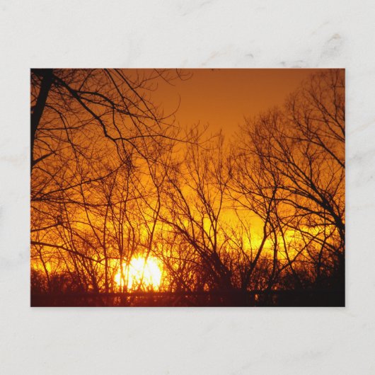 ORANJE SUNSET BRIEFKAART (Voorkant)