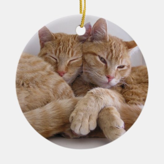 Oranje Tabby Brothers Keramisch Ornament (Voorkant)