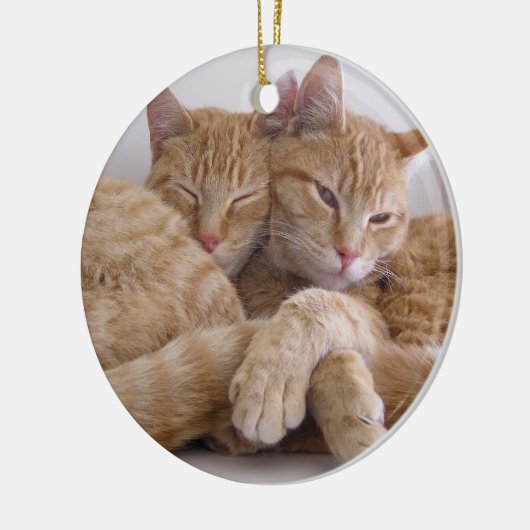 Oranje Tabby Brothers Keramisch Ornament (Links)