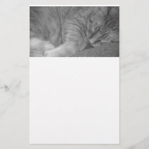 Oranje Tabby Cat/Black & White-fotografie Briefpapier