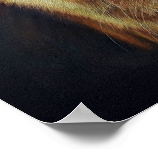 Oranje Tabby Cat "Blijf sterk" gekleurde potloodku Poster (Hoek)