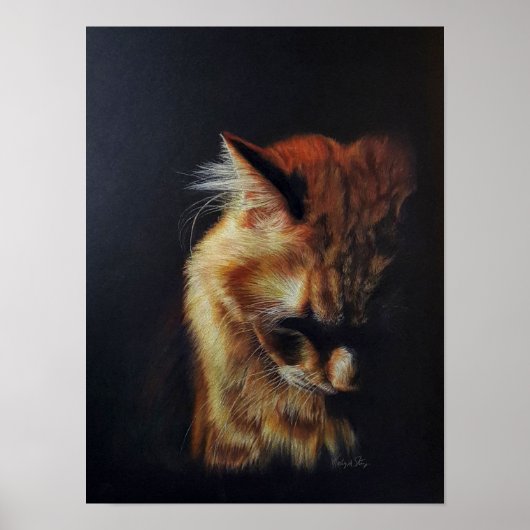 Oranje Tabby Cat "Blijf sterk" gekleurde potloodku Poster (Voorkant)