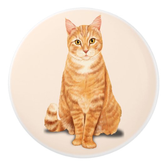 Oranje Tabby Cat Custom Keramische Knop (Voorkant)