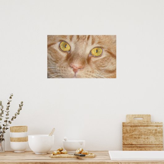 Oranje Tabby Cat Eyes Poster (Keuken)