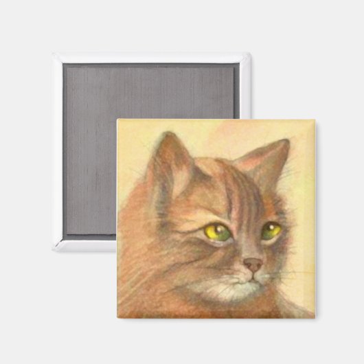 Oranje Tabby Cat  Fine Art Magneet (Voorkant / Achterkant)