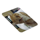 Oranje Tabby Cat Flexible Magnet Magneet (Rechterzijde)