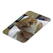 Oranje Tabby Cat Flexible Magnet Magneet (Linkerzijde)