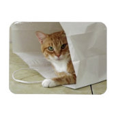 Oranje Tabby Cat Flexible Magnet Magneet (Horizontaal)