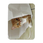 Oranje Tabby Cat Flexible Magnet Magneet (Verticaal)