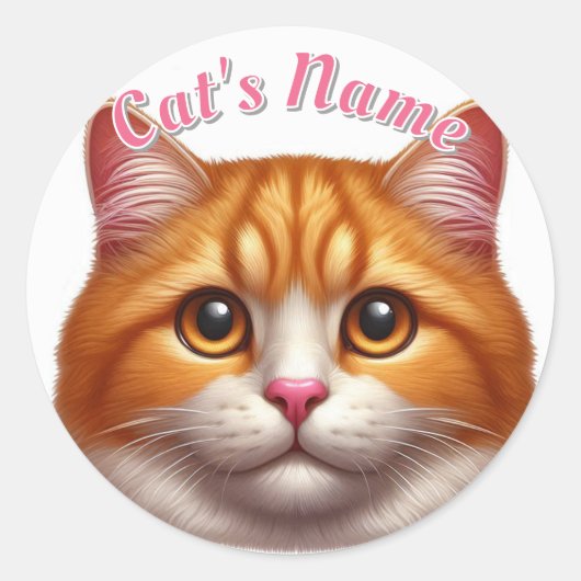  Oranje Tabby Cat · Gepersonaliseerd Ronde Sticker (Voorkant)