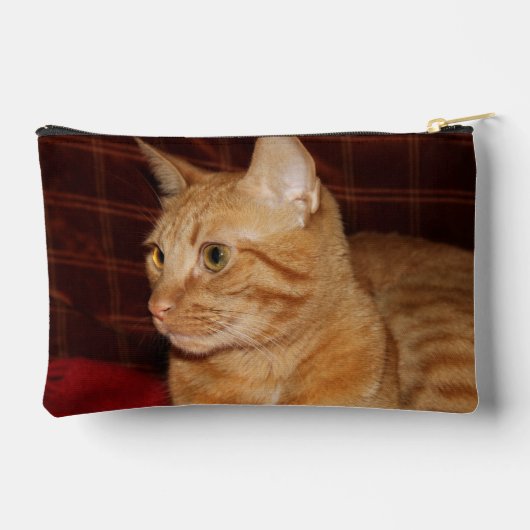 Oranje Tabby Cat Gezichtsprofiel Etui (Achterkant)