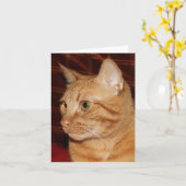 Oranje Tabby Cat Gezichtsprofiel Kaart (Gele Bloem)