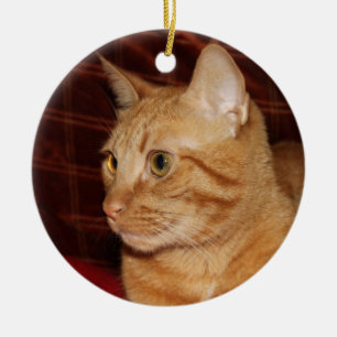 Oranje Tabby Cat Gezichtsprofiel Keramisch Ornament