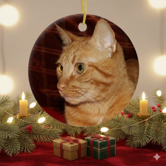 Oranje Tabby Cat Gezichtsprofiel Keramisch Ornament