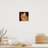 Oranje Tabby Cat Gezichtsprofiel Poster (Keuken)