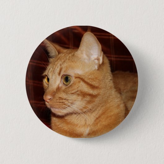Oranje Tabby Cat Gezichtsprofiel Ronde Button 5,7 Cm (Voorkant)