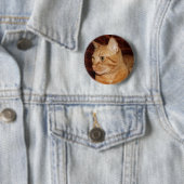 Oranje Tabby Cat Gezichtsprofiel Ronde Button 5,7 Cm (In situ)
