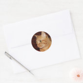 Oranje Tabby Cat Gezichtsprofiel Ronde Sticker (Envelop)