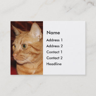 Oranje Tabby Cat Gezichtsprofiel Visitekaartje
