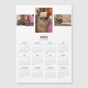 Oranje Tabby Cat Ginger 2025 Magnetische Kalender