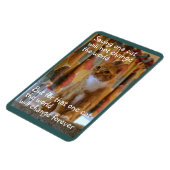 Oranje Tabby Cat hoopt te worden aangenomen Magneet (Linkerzijde)