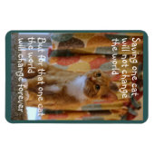 Oranje Tabby Cat hoopt te worden aangenomen Magneet (Horizontaal)