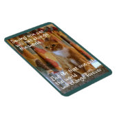 Oranje Tabby Cat hoopt te worden aangenomen Magneet (Rechterzijde)