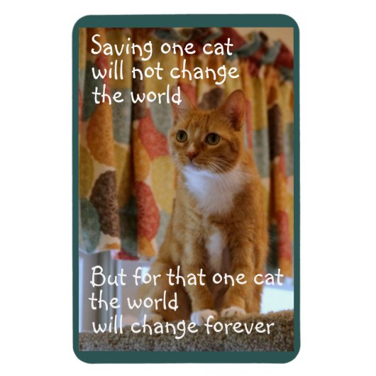 Oranje Tabby Cat hoopt te worden aangenomen Magneet (Verticaal)