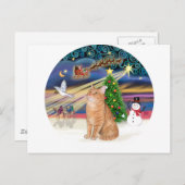 Oranje Tabby Cat - Kerstmagie Feestdagenkaart (Voorkant / Achterkant)