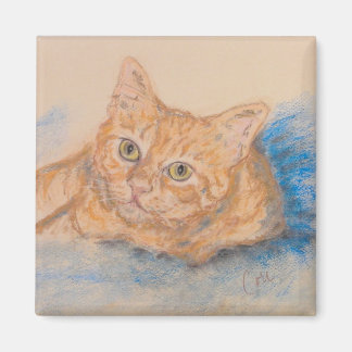 Oranje Tabby Cat kunstmagneet Magneet