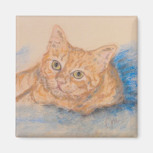 Oranje Tabby Cat kunstmagneet Magneet (Voorkant)