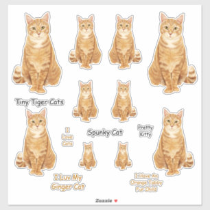 Oranje Tabby Cat Lg Sticker Set